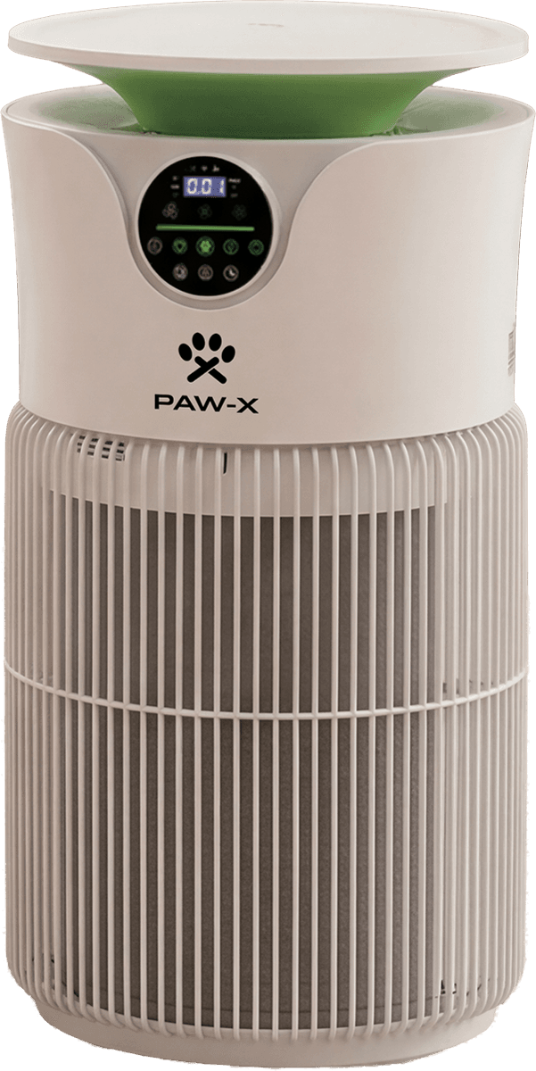 Air Purifier